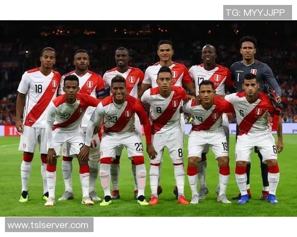 荷兰与秘鲁对决谁能赢得胜利分析与预测